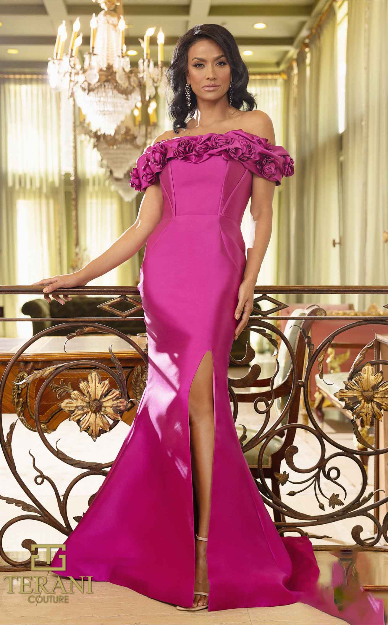 Terani Evenings Dress 242E3102 main image 1