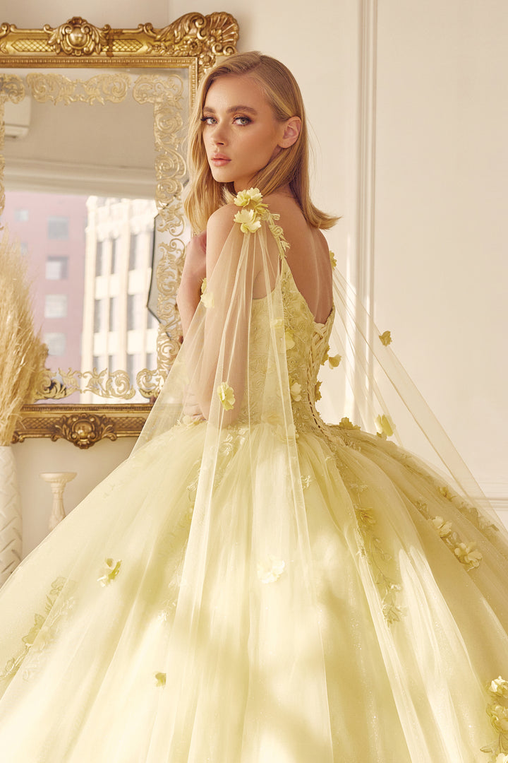 Juliet 1436 attached cape 3D floral applique ball gown quinceanera dress front view, option 6