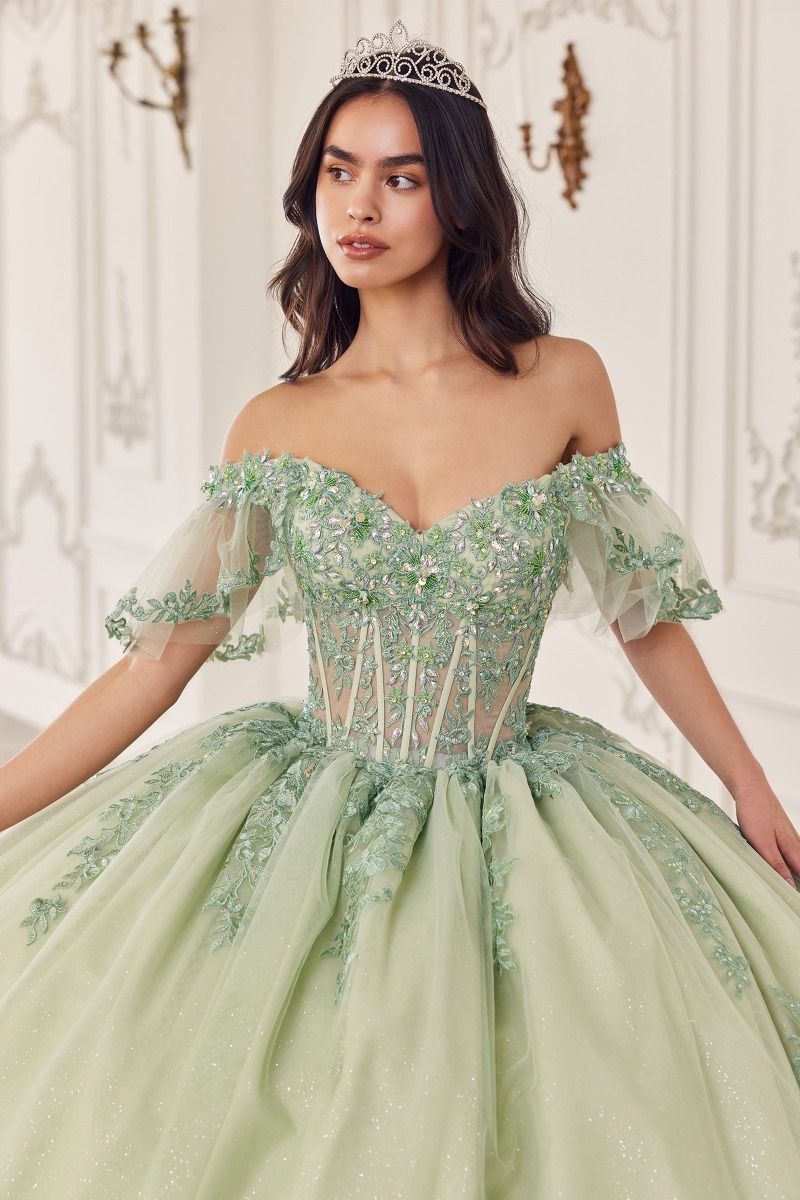 green cinderella dress 15716 | BALL GOWN Ladivine by Cinderella Divine