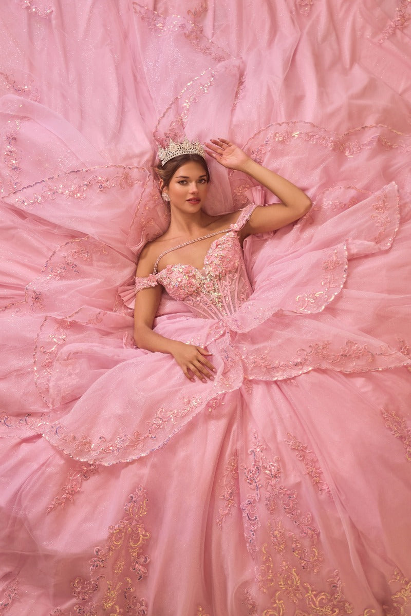 Ladivine 15747 ball gown overhead view showing full skirt
