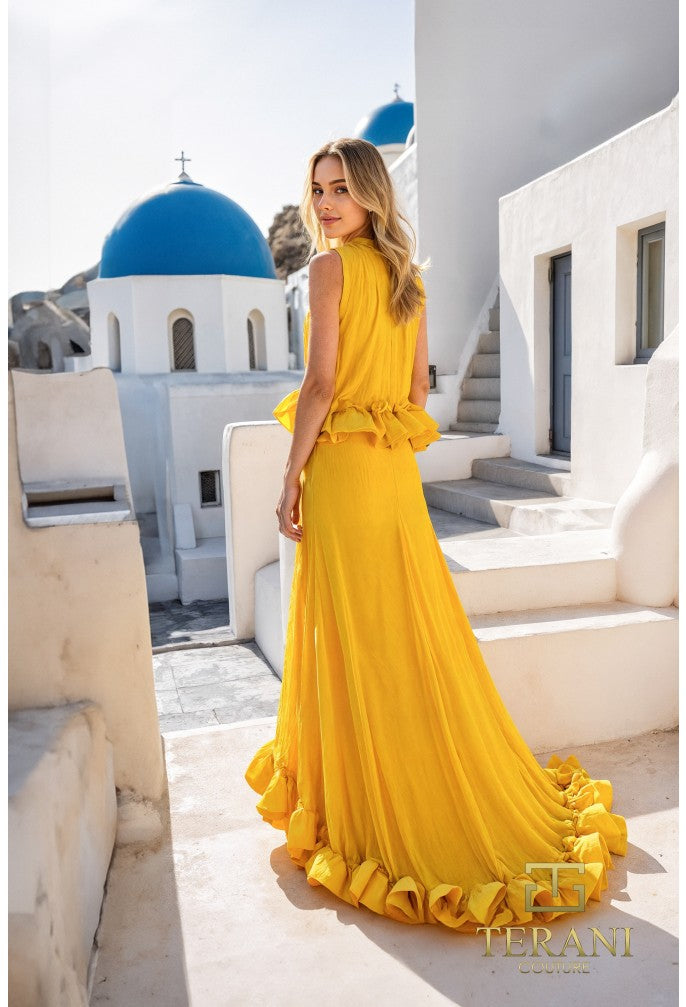 Terani 251E4657 Dress