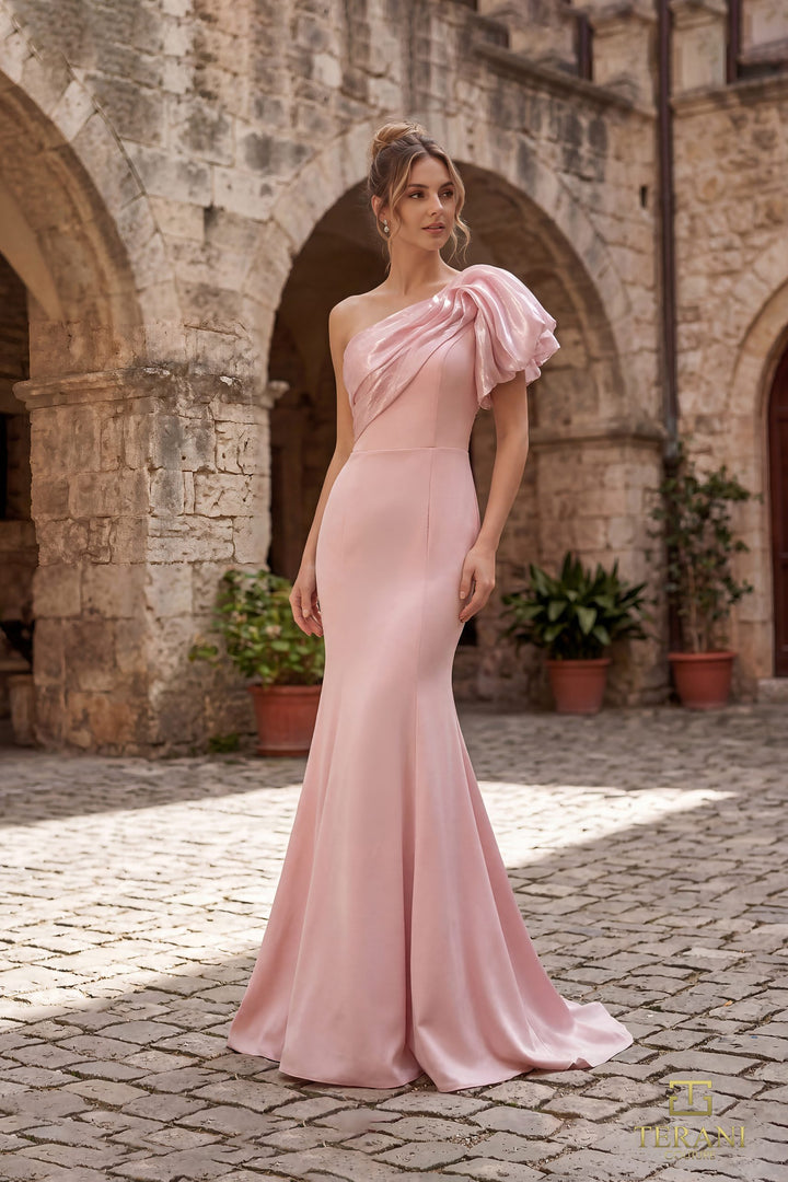 Terani 252E5514 Dress - FOSTANI.com