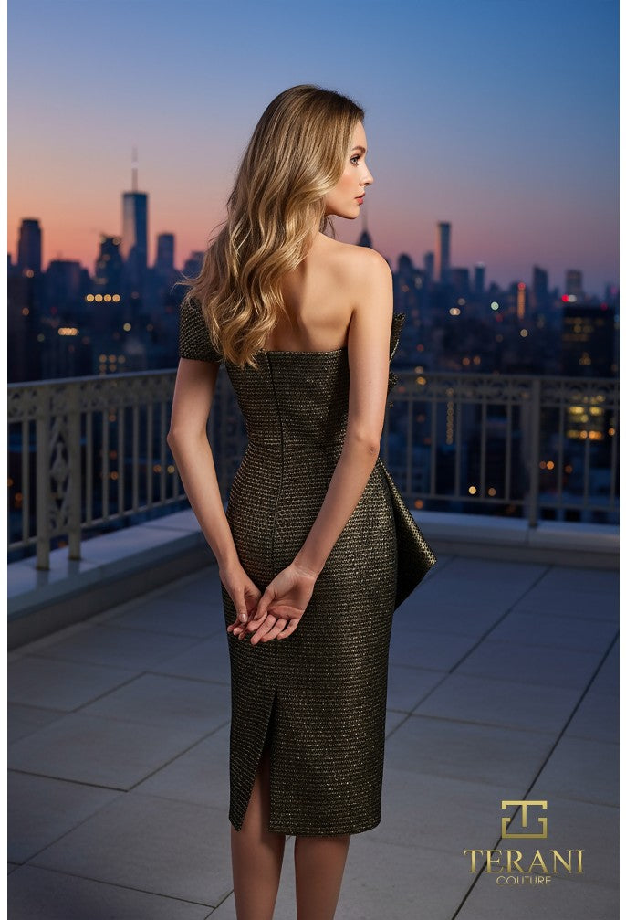 Terani 261C6524 Dress - FOSTANI.com