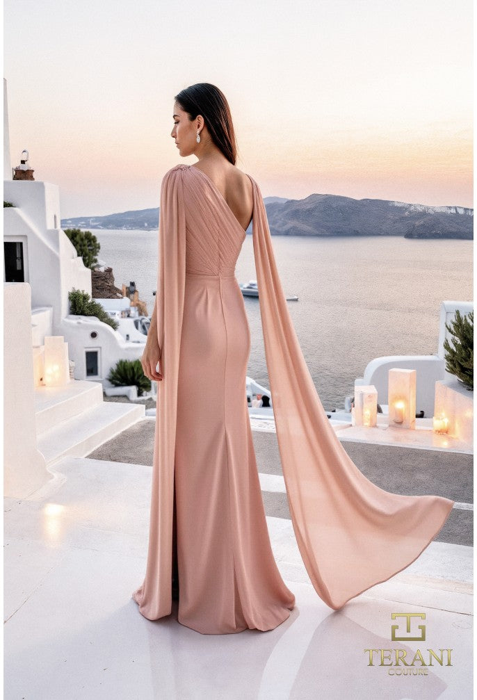 Terani 261E6205 Dress - FOSTANI.com