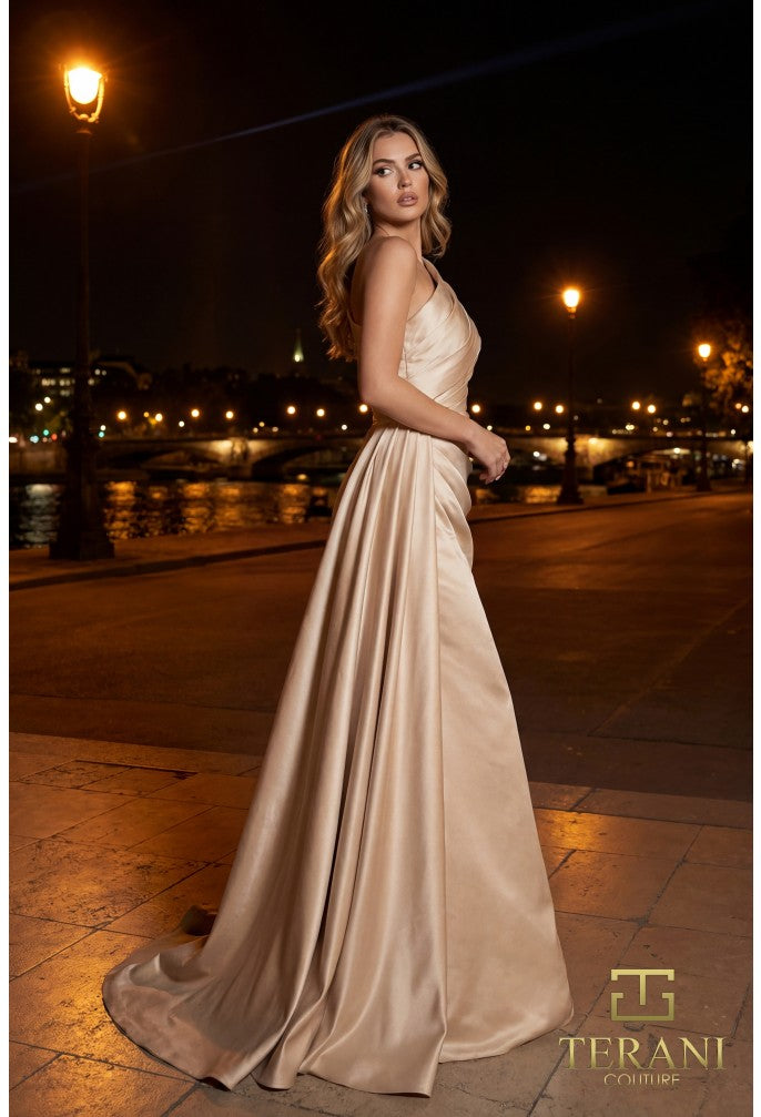 Terani 261M6411 Dress - FOSTANI.com