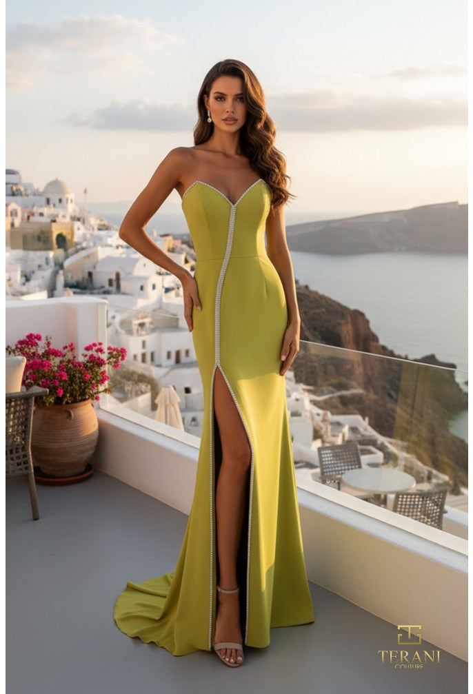 Terani 261P6076 Dress