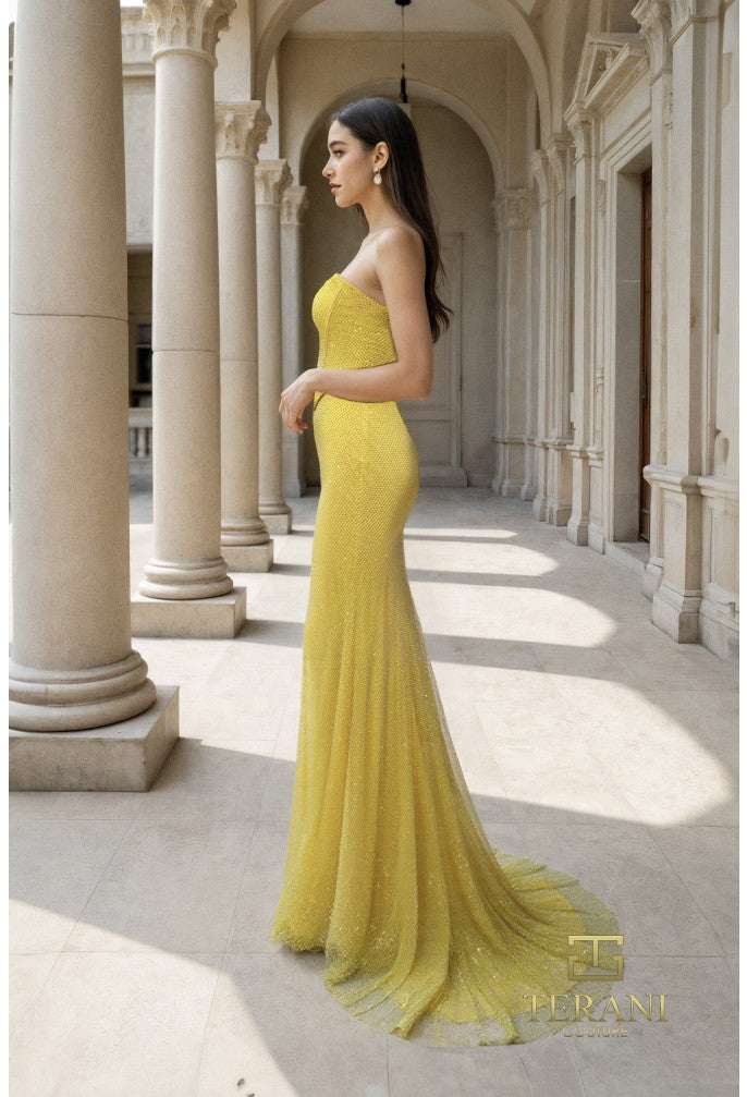 Terani 261P6187 Dress - FOSTANI.com