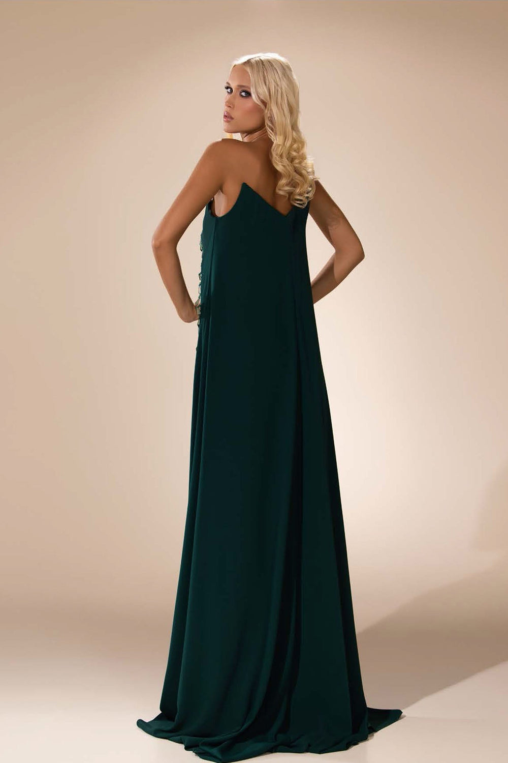 Crystal-Embellished A-line Dress - FOSTANI.com