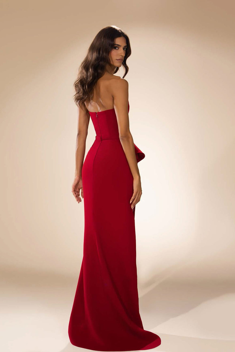 Straight-Line with Fitted Bodice Sheer Panel Dress - FOSTANI.com