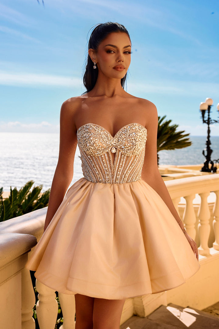 PS26712 - FOSTANI.com