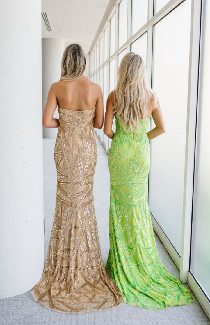 Aleta 1507 Dress - FOSTANI.com