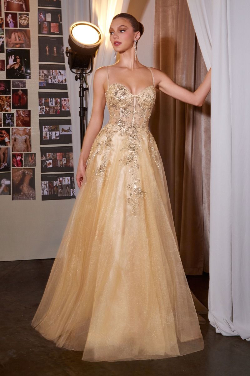 Ladivine C177 Spaghetti Strap Embellished Corset A-Line Ball Gown