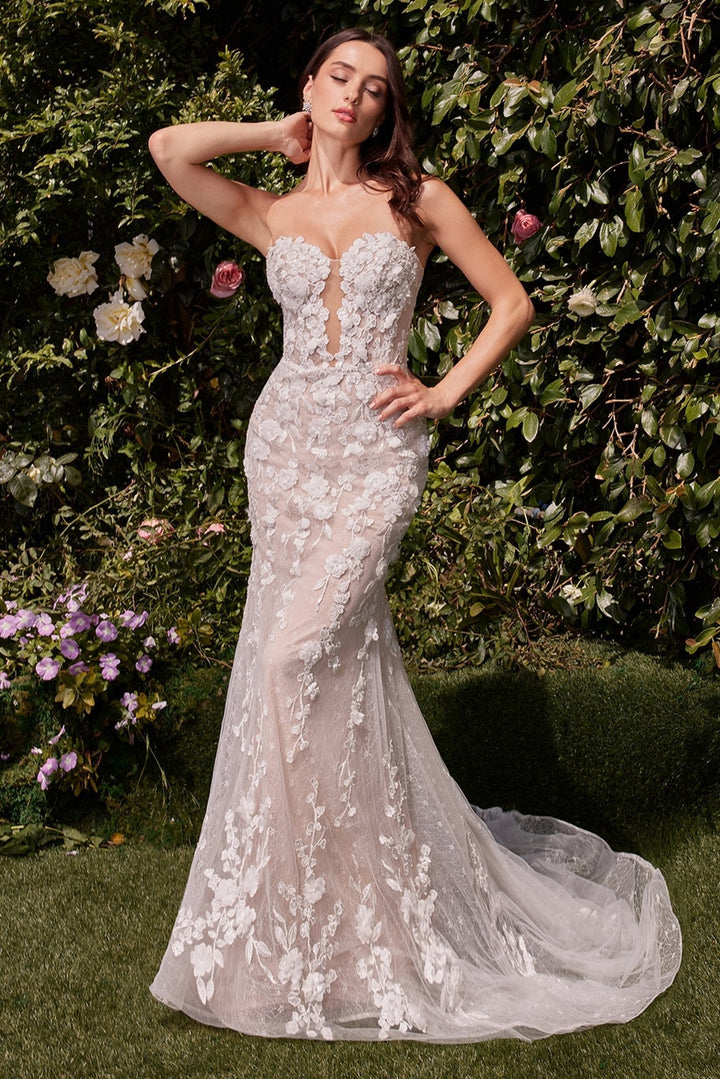 Cinderella Divine  CD793W Dress