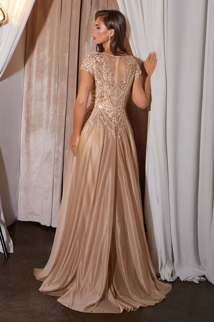 Ladivine CL11 V-Neckline Beaded A-Line Ball Gown Dress