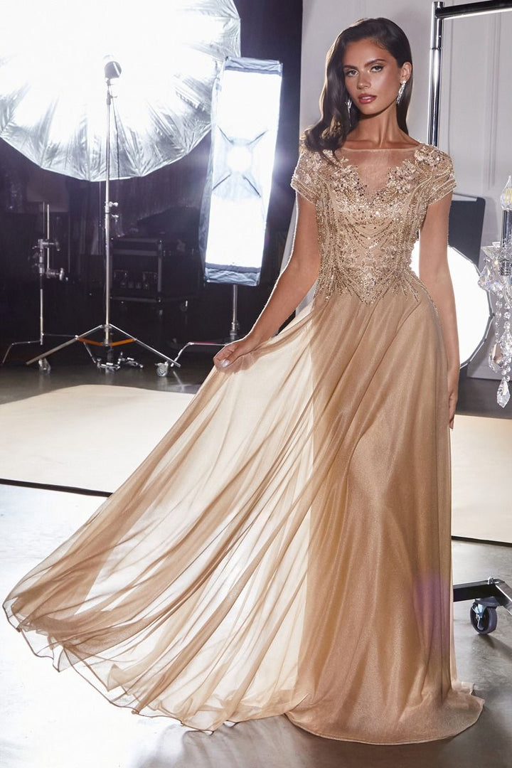 Ladivine CL11 V-Neckline Beaded A-Line Ball Gown Dress