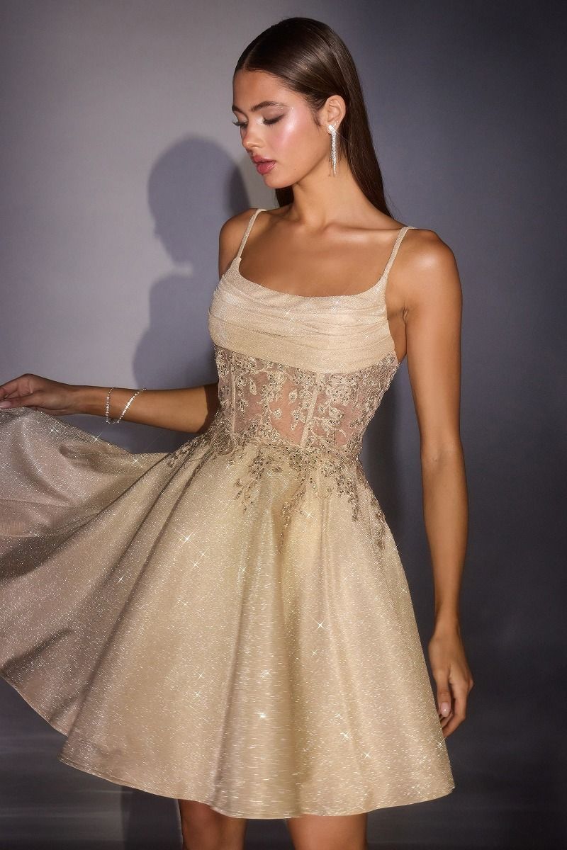 Ladivine KV1152 Cowl Neck Sleeveless Corset Dress