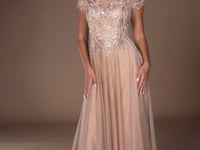 Ladivine CL11 V-Neckline Beaded A-Line Ball Gown Dress