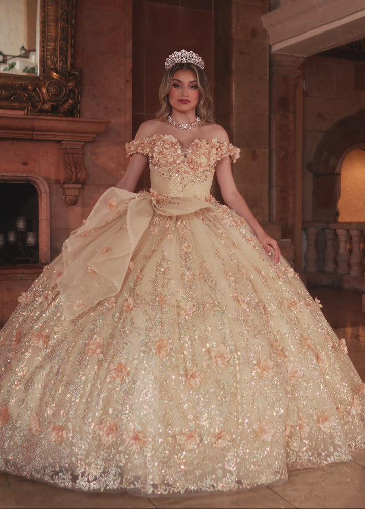 Rachel Allan RQ1141 Dress