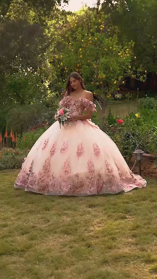 فستان سندريلا ديفاين 15701