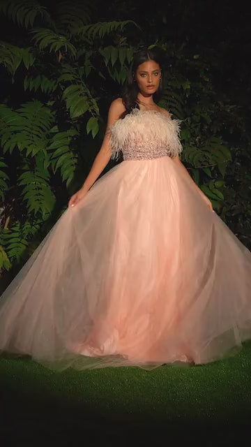 Cinderella Divine CR864 Dress