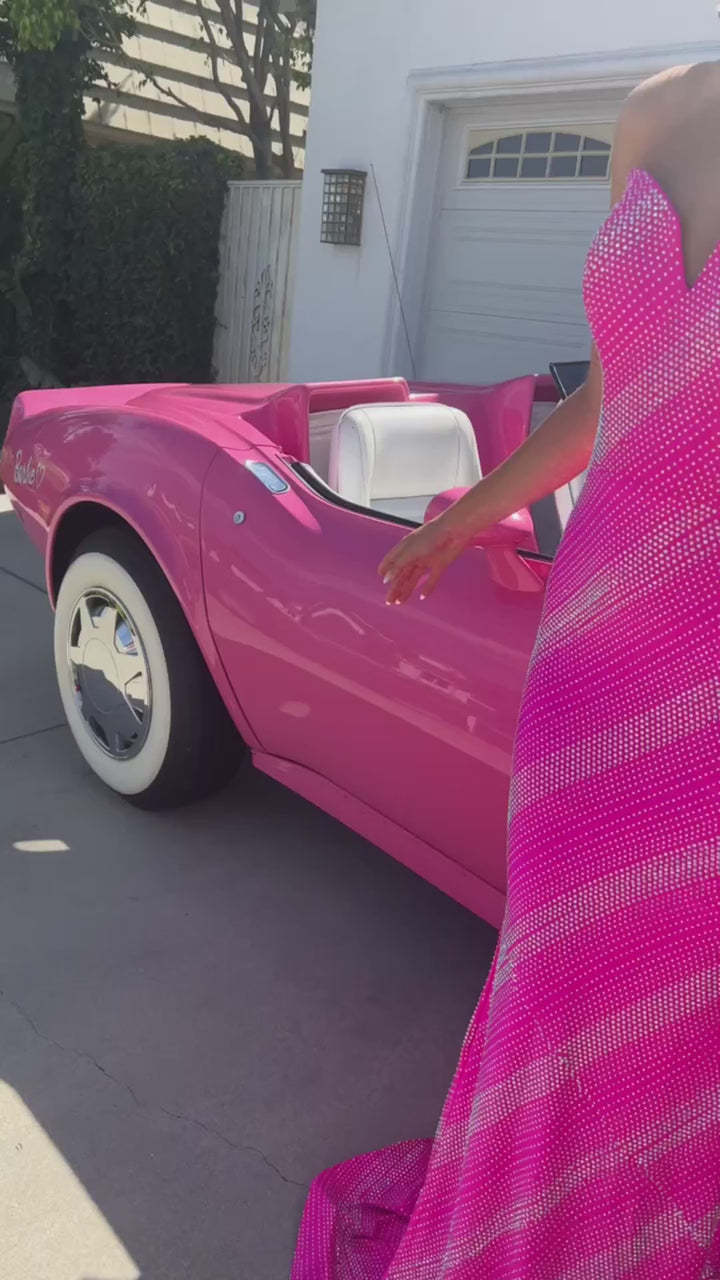 فستان بورشيا وسكارليت PS23894