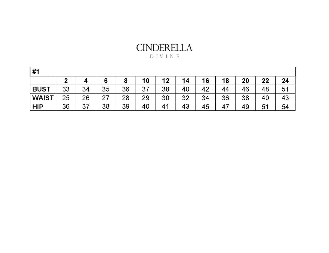 CINDERELLA CM319 DRESS - FOSTANI