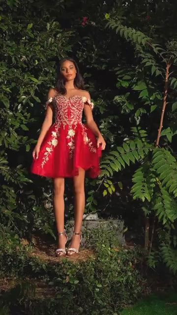 فستان سندريلا ديفاين CD0194