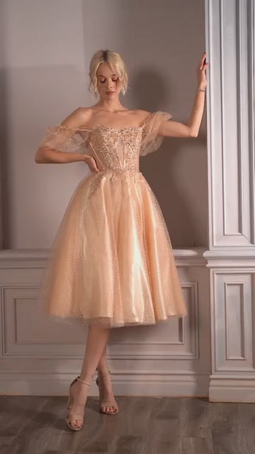 فستان سندريلا ديفاين CD0187