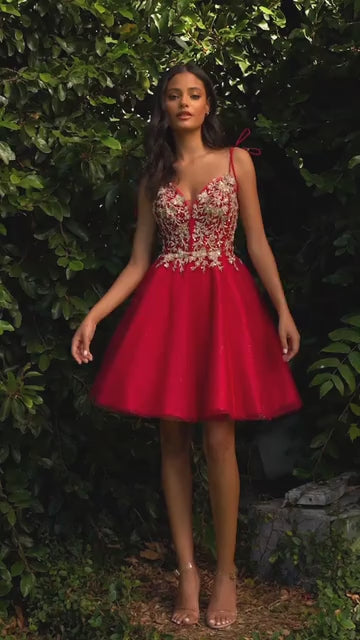فستان سندريلا ديفاين CD0188