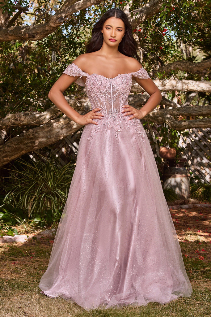 applique-off-shoulder-tulle-