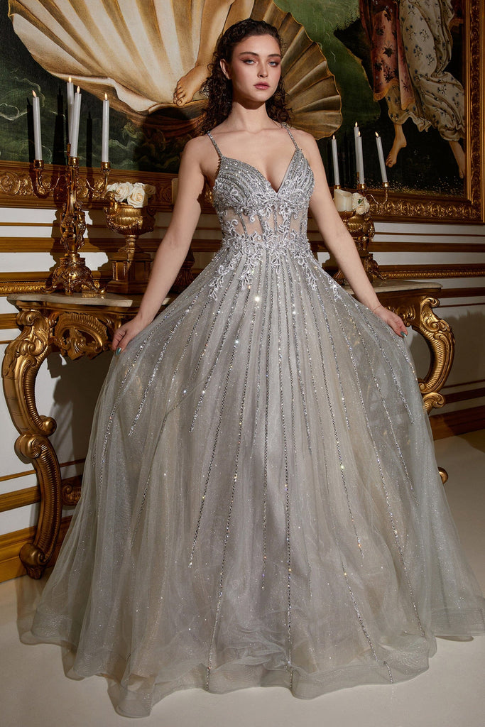 beaded-applique-v-neck-tulle-