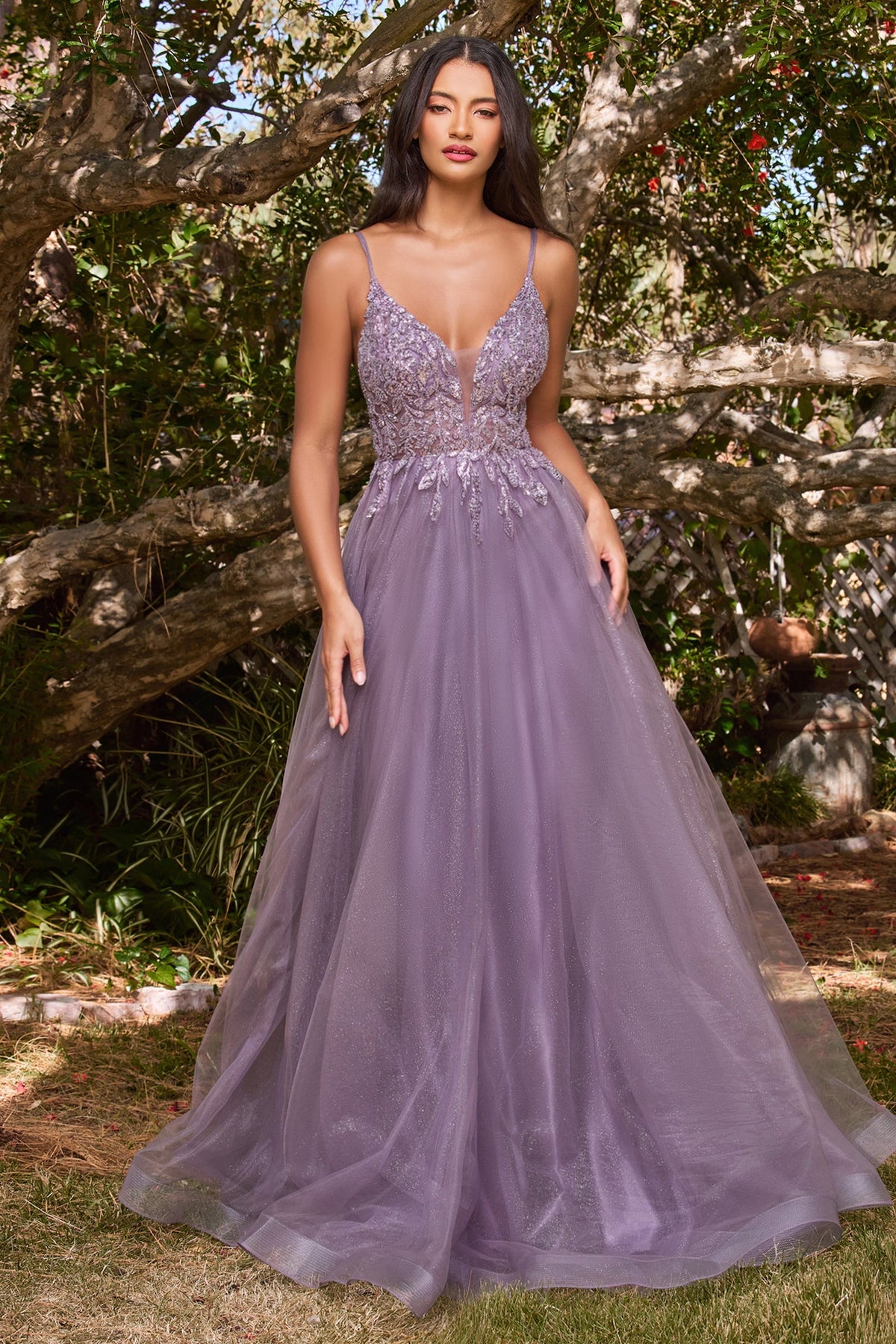 Cinderella Divine CD0154 Dress