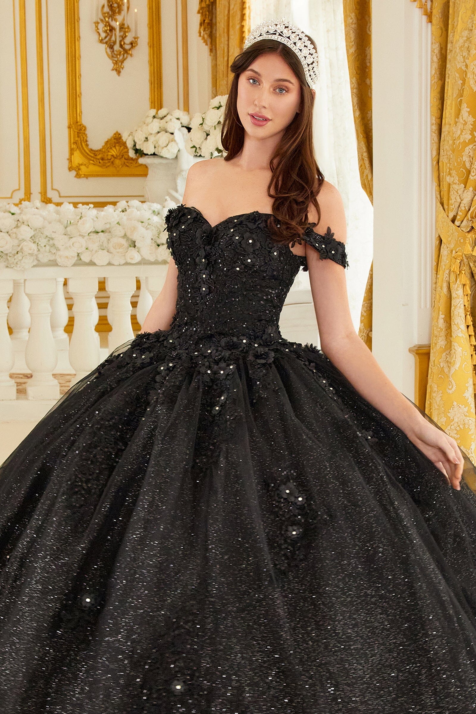 25 Best black ball gowns ideas | ball gowns, gowns, evening dresses