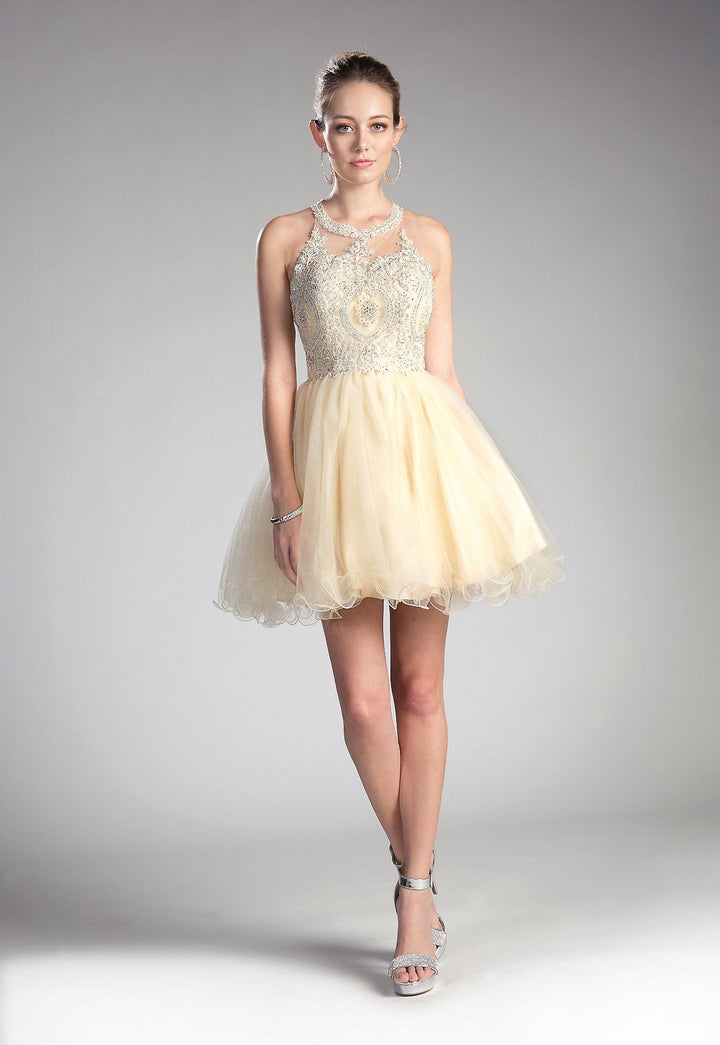 Cinderella Divine UJ0119 Dress - Short Cocktail Dresses FOSTANI