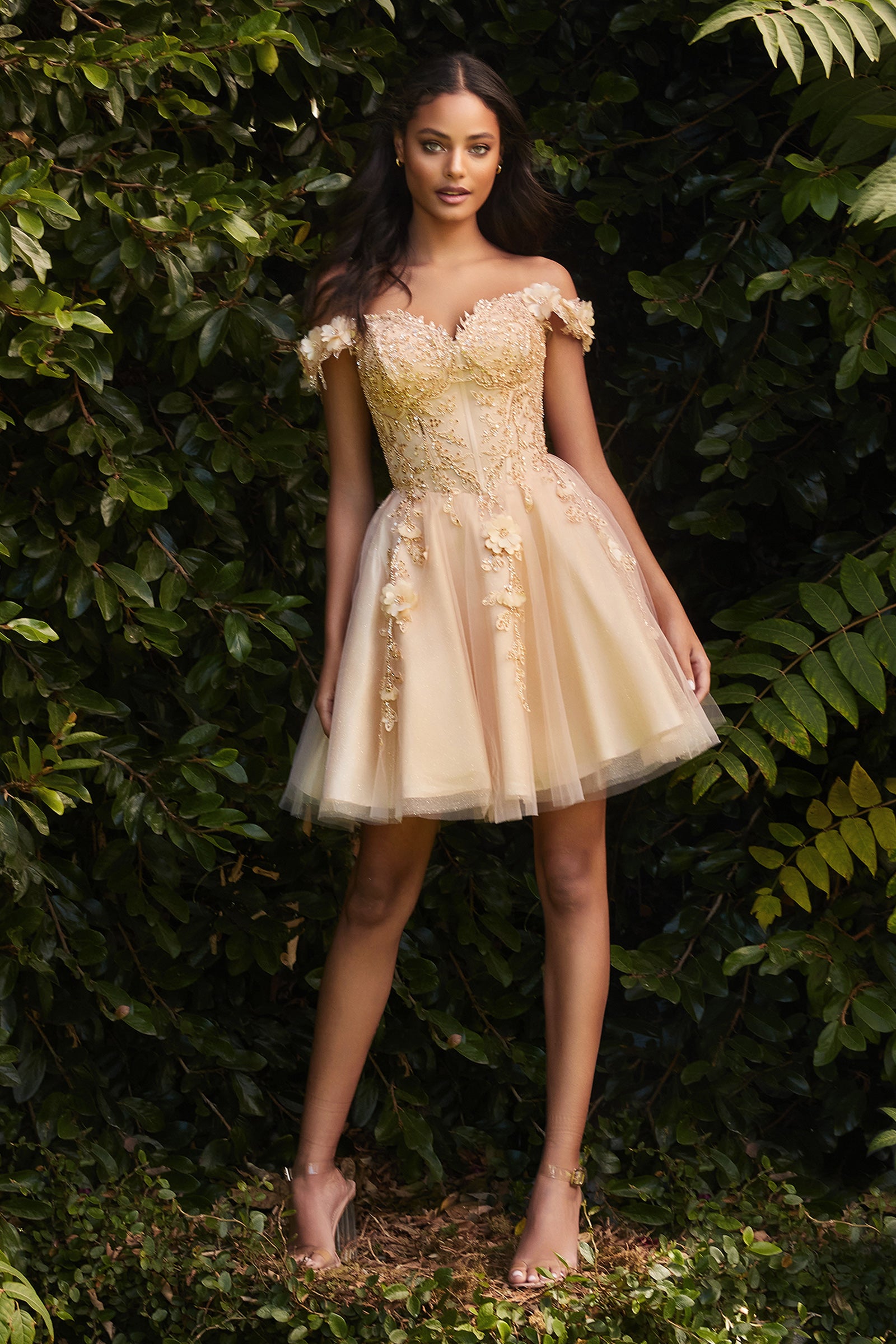 Champagne short hot sale formal dresses